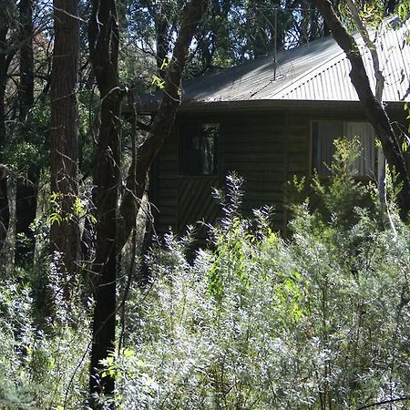 Twin Falls Bush Cottages Fitzroy Falls Esterno foto