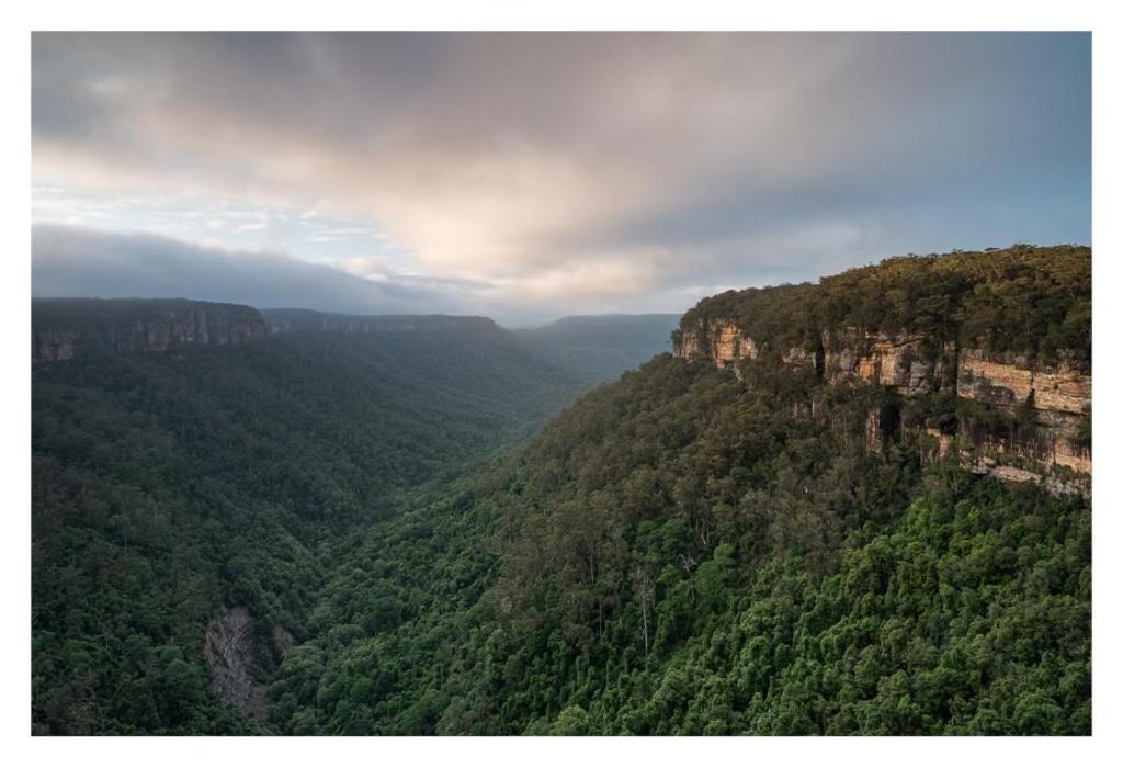Twin Falls Bush Cottages Fitzroy Falls Esterno foto