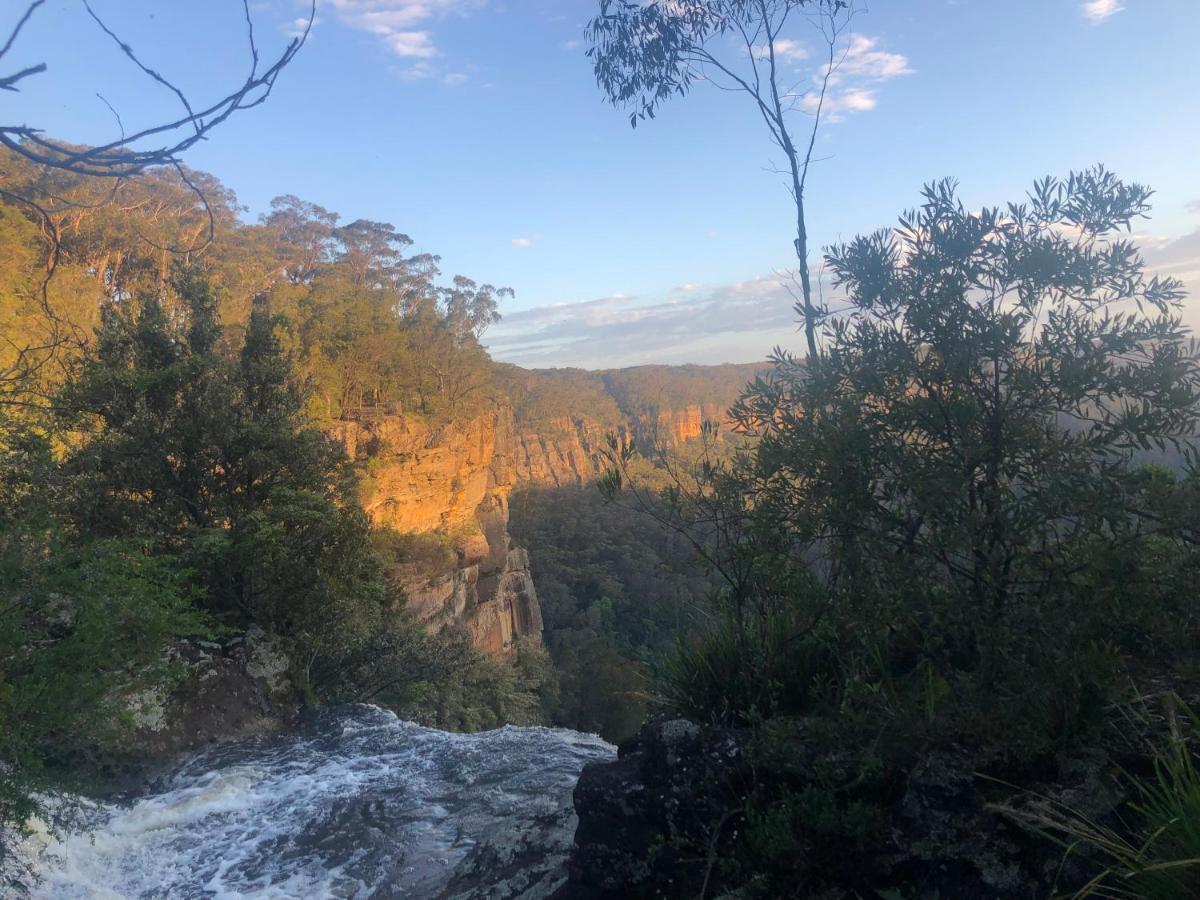 Twin Falls Bush Cottages Fitzroy Falls Esterno foto
