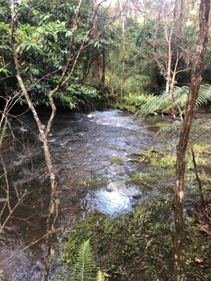 Twin Falls Bush Cottages Fitzroy Falls Esterno foto