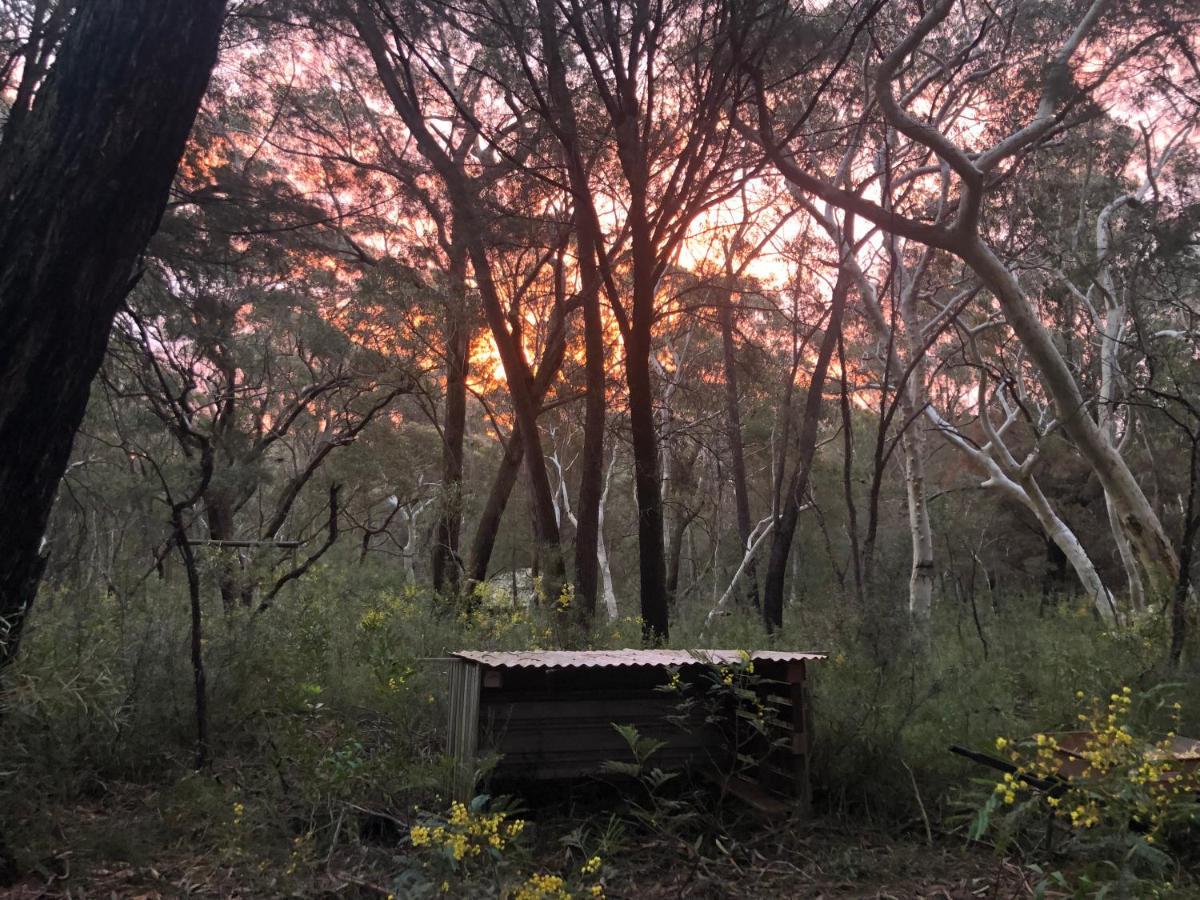 Twin Falls Bush Cottages Fitzroy Falls Esterno foto