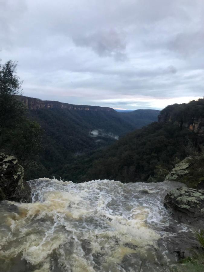 Twin Falls Bush Cottages Fitzroy Falls Esterno foto