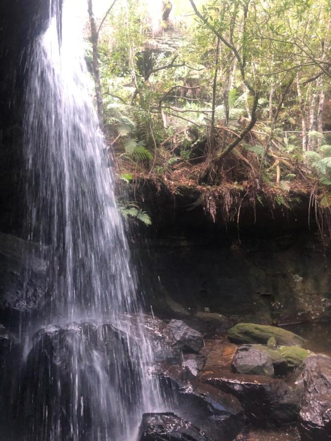 Twin Falls Bush Cottages Fitzroy Falls Esterno foto