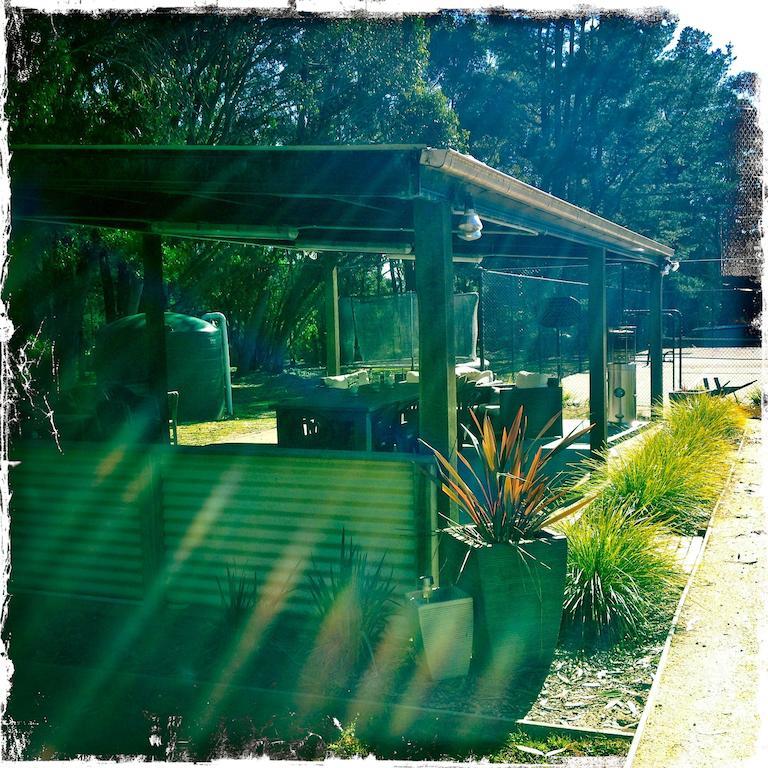 Twin Falls Bush Cottages Fitzroy Falls Camera foto