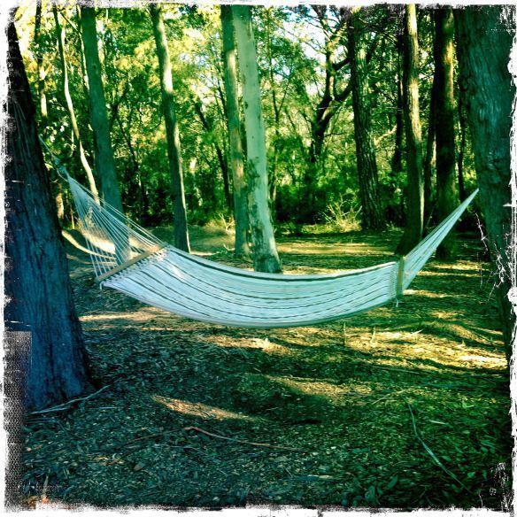 Twin Falls Bush Cottages Fitzroy Falls Camera foto