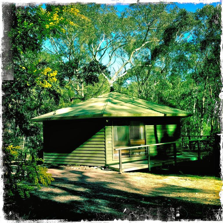 Twin Falls Bush Cottages Fitzroy Falls Camera foto