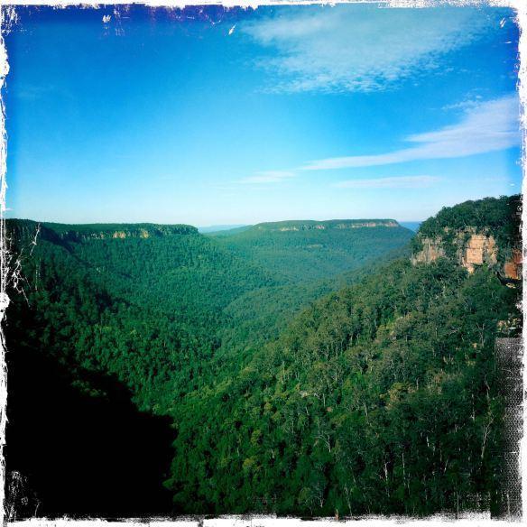 Twin Falls Bush Cottages Fitzroy Falls Camera foto