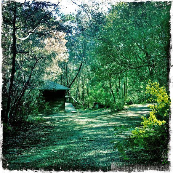 Twin Falls Bush Cottages Fitzroy Falls Camera foto