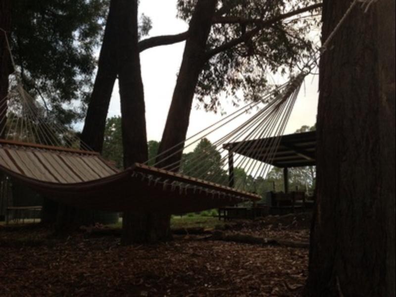 Twin Falls Bush Cottages Fitzroy Falls Esterno foto