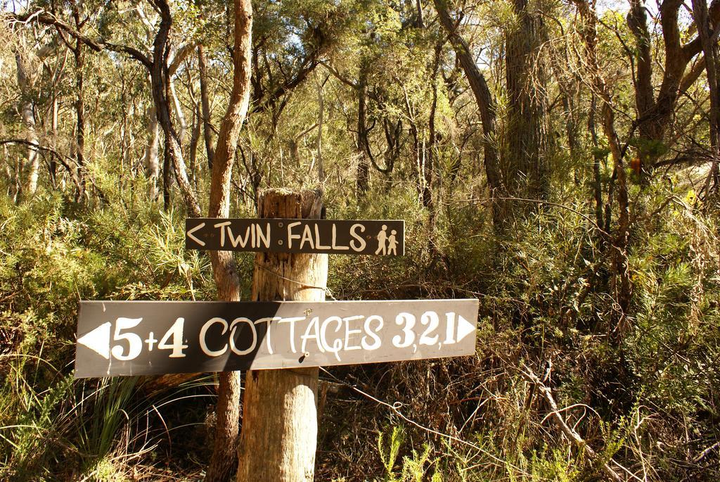 Twin Falls Bush Cottages Fitzroy Falls Esterno foto