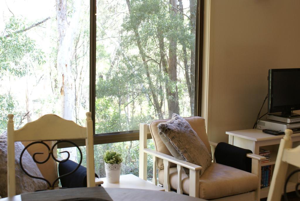 Twin Falls Bush Cottages Fitzroy Falls Esterno foto