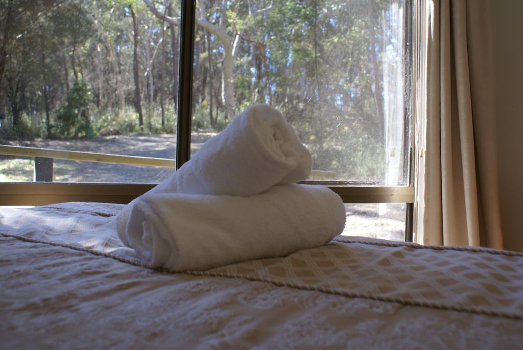 Twin Falls Bush Cottages Fitzroy Falls Esterno foto
