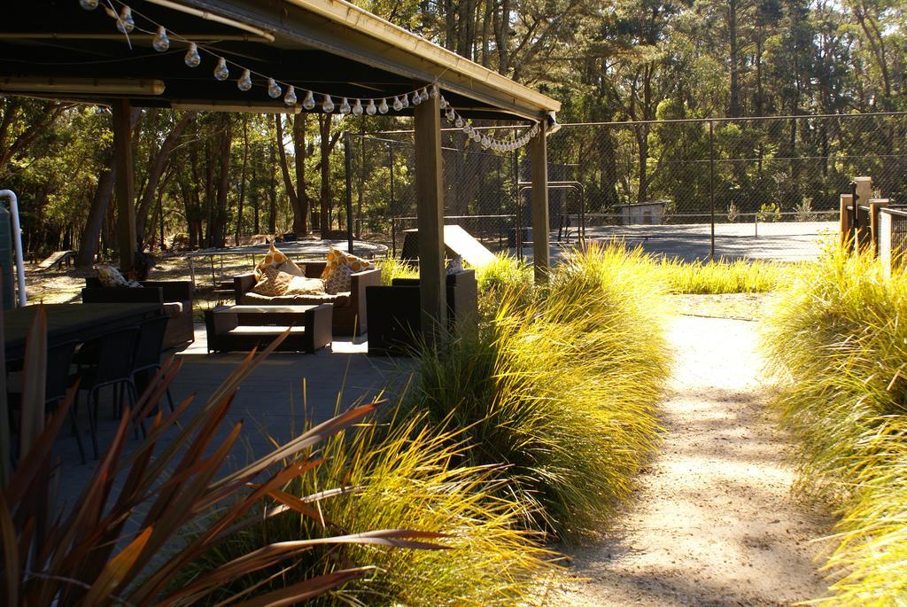 Twin Falls Bush Cottages Fitzroy Falls Esterno foto
