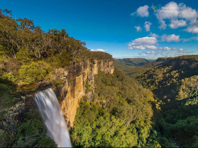 Twin Falls Bush Cottages Fitzroy Falls Esterno foto
