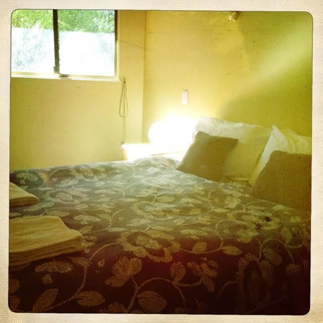Twin Falls Bush Cottages Fitzroy Falls Esterno foto