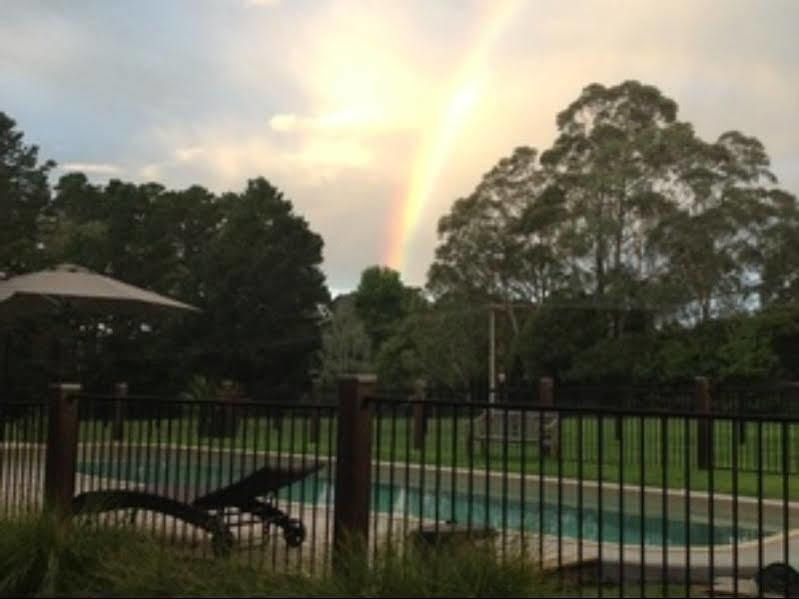 Twin Falls Bush Cottages Fitzroy Falls Esterno foto